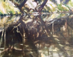 Molenvijver / Mill pond