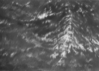 Den
