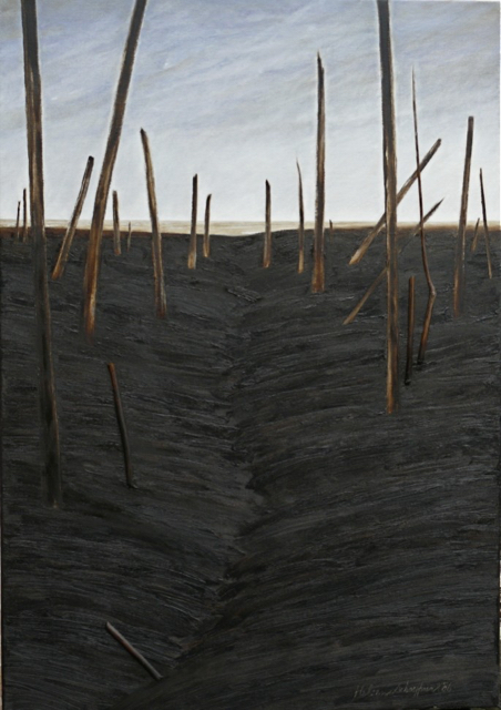 The tilled field