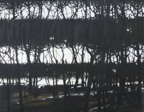 Winter from my window