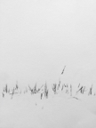 Blank verse II - verkocht / sold